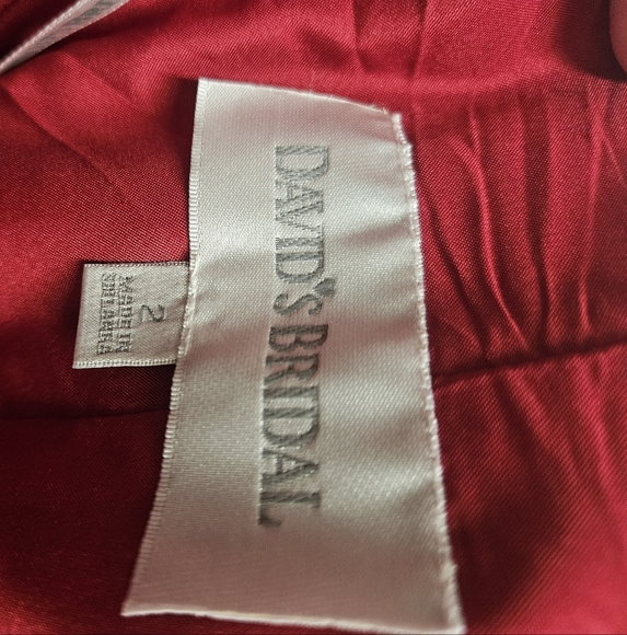 David's Bridal /Women's Red Apple Strapless Dress 2 Elegant, Cocktail, - Picture 8 of 8